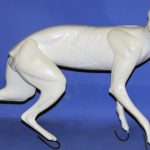 RF2644 Red Fox - Brian Harness