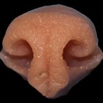 N13 Large Bobcat Nose