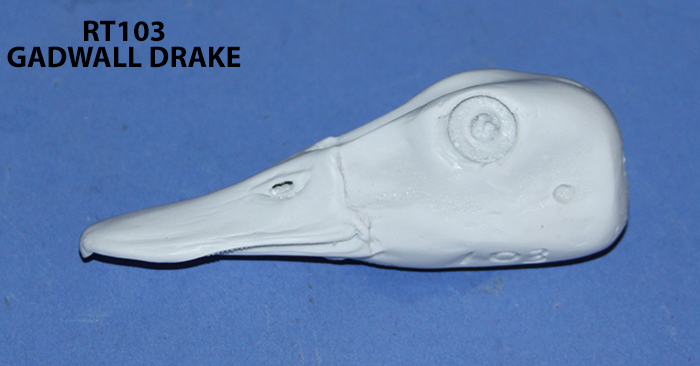 RT103 Gadwall Drake