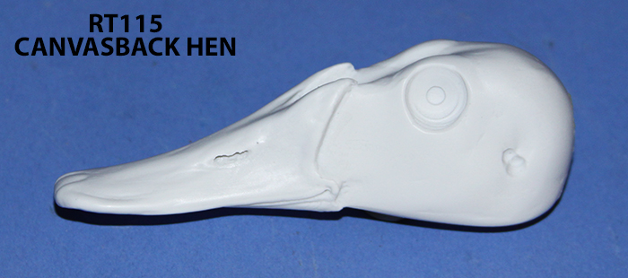RT115 Canvasback Hen