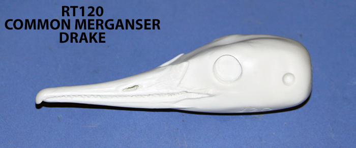 RT120 Common Merganser Drake
