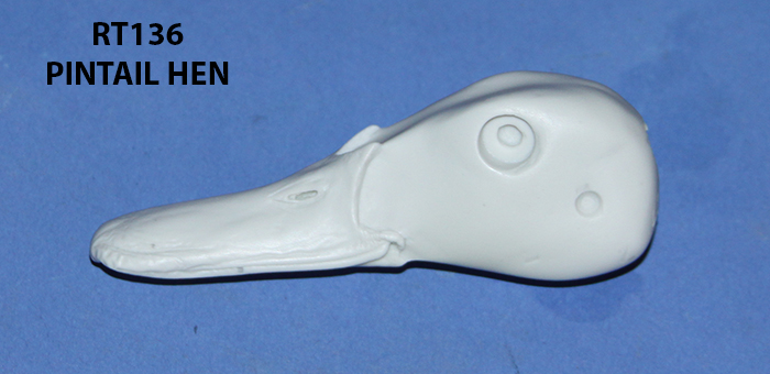 RT136 Pintail Hen