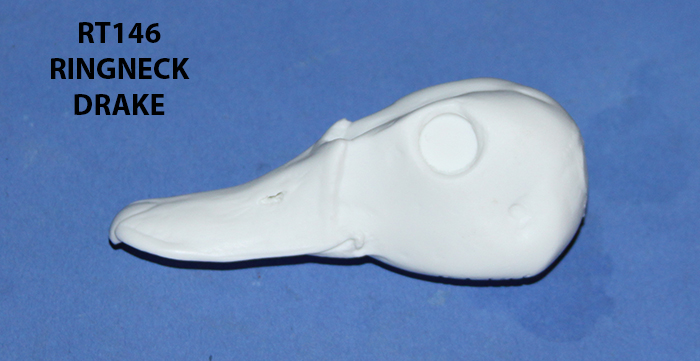 RT146 Ringneck Duck Drake