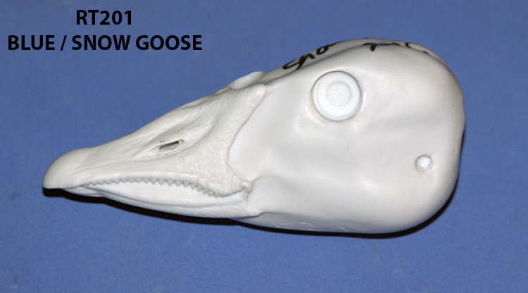 RT201 Blue / Snow Goose