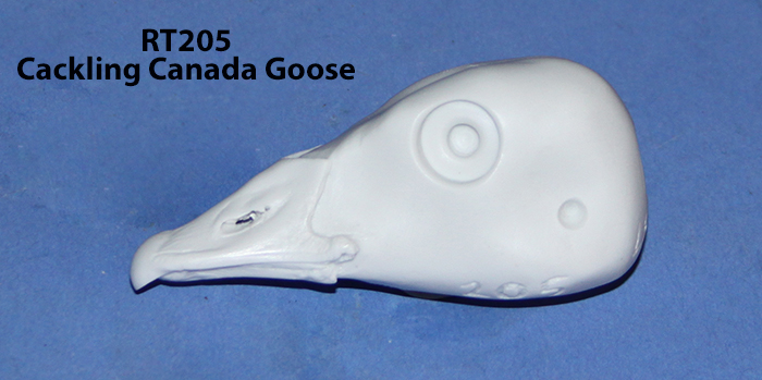 RT205 Cackling Canada Goose