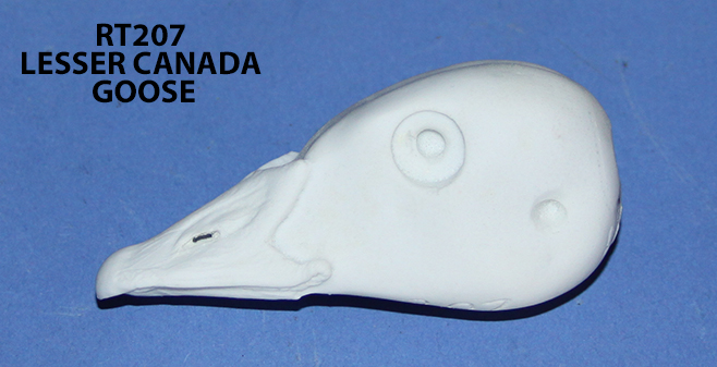 RT207 Lesser Canada Goose