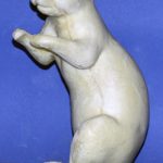 S08 Classics Squirrel Form