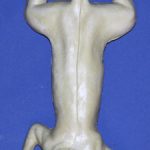 S10 Classics Squirrel Form