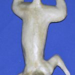 S11 Classics Squirrel Form