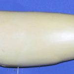 SL1915 Striped Bass Left Side