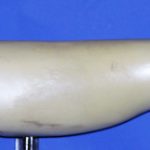 SL2416 Striped Bass Left Side