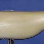 SL2419 Striped Bass Left Side