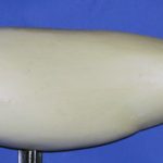 SL2520 Striped Bass Left Side