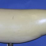 SL2921 Striped Bass Left Side