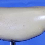 SL3124 Striped Bass Left Side