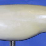 SLD3024 Striped Bass Left Side