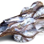 Snow Camo Dipped Skull - Large