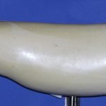 SR2519 Striped Bass Right Side