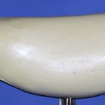 SR2520 Striped Bass Right Side