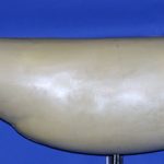 SR3227 Stripped Bass Right Side