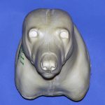 CTW11 Timber Wolf Shoulder - Peter Knapton