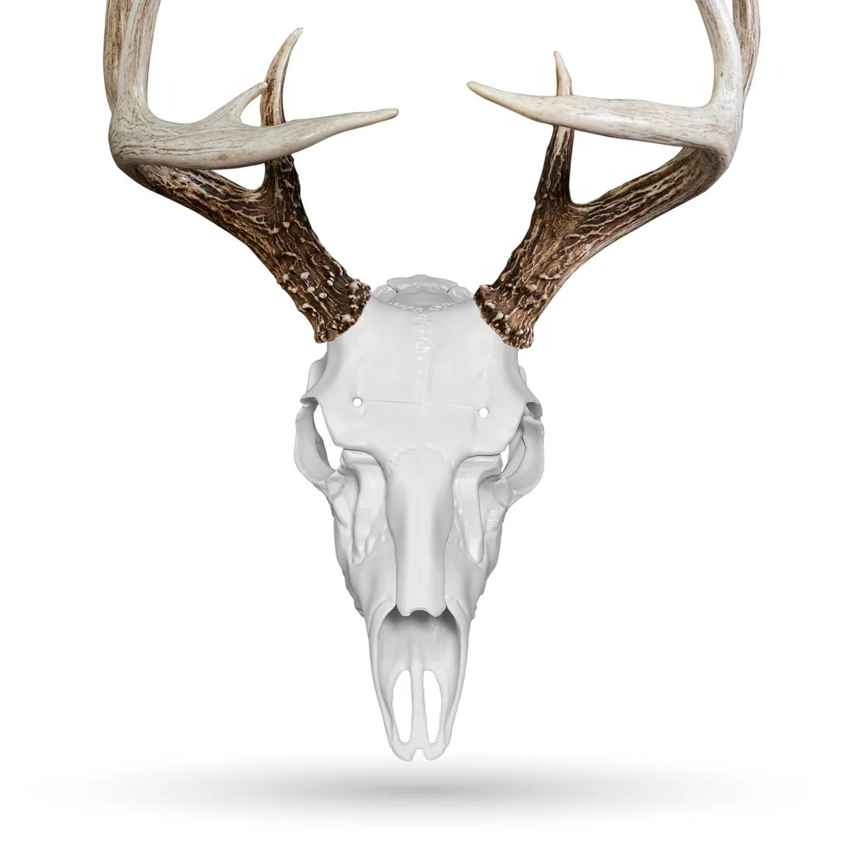 Mountain Mikes Skull Master White