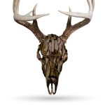 Skull Illusions Mossy Oak Bottomland