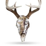 Skull Illusions Skull Master Snow Camo