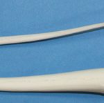 T10 Gray Fox Tail Fits GF3330