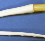 T8 Female Fisher Tail