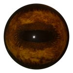 UBE36 Elk 36 MM Unbanded