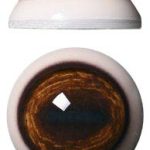 WB34L White Banded 34MM Light