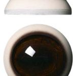 WB30M White Banded 30MM Medium