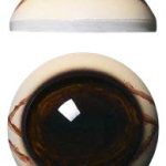 WBV32M White Banded with Veins 32 MM Medium