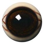 WBV34M White Banded with Veins 34 MM Medium