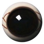 WBV30D White Banded with Veins 30 MM Dark