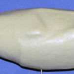 Snow or Blue Goose • Large