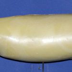 WFR16B  Weakfish • Speckled Trout