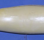 WFR23B Weakfish • Speckled Trout