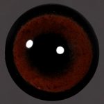 Acrylic Turkey Eyes 12mm - AE5012