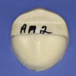 AM2 Antler Mount Form - Medium