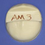 AM3 Antler Mount Form - Large