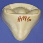 AM6 Anter Mount Form - Antelope