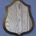 EA 8x10 Ebony Ash Antler Panel