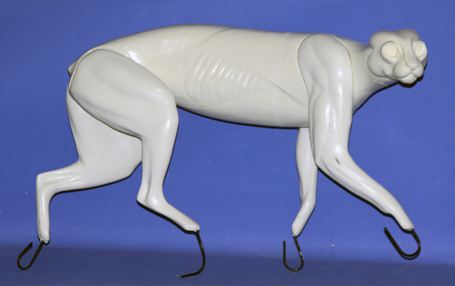 BC1433 Bobcat - Brian Harness