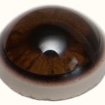 BR14WB Bear with Band 14 MM