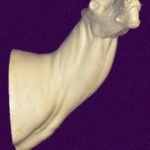 C031 Open Mouth Specialty