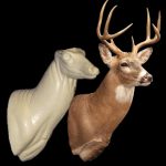 C052 Semi Upright - Buck Shoulder