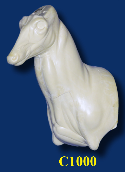 C1000 Steppin' Out Aggressive