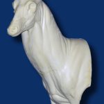 C1004 Steppin' Out Aggressive